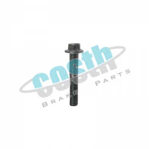 Bolt M8x45 mm 2561