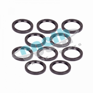 Caliper Seals Repair Kit 60-2055 D3