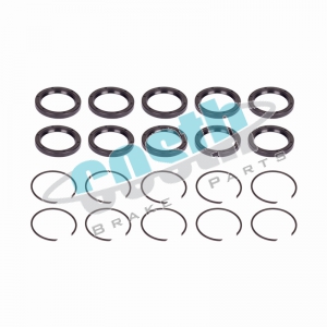 Caliper Seal and Circlip Kit 60-2057 D3