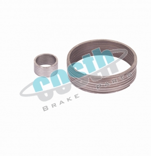 Caliper Spring Set (left) 60-2106 D3