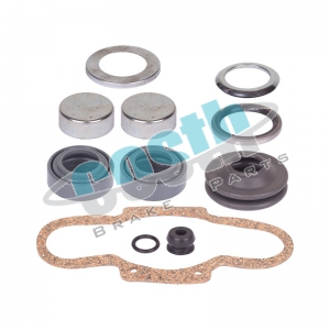 Caliper Overhaul Seal Kit  60-2198 D LISA