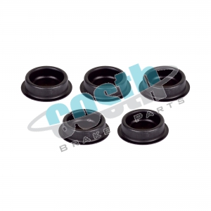 Caliper Plug Set 90-5015